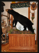 bear mount